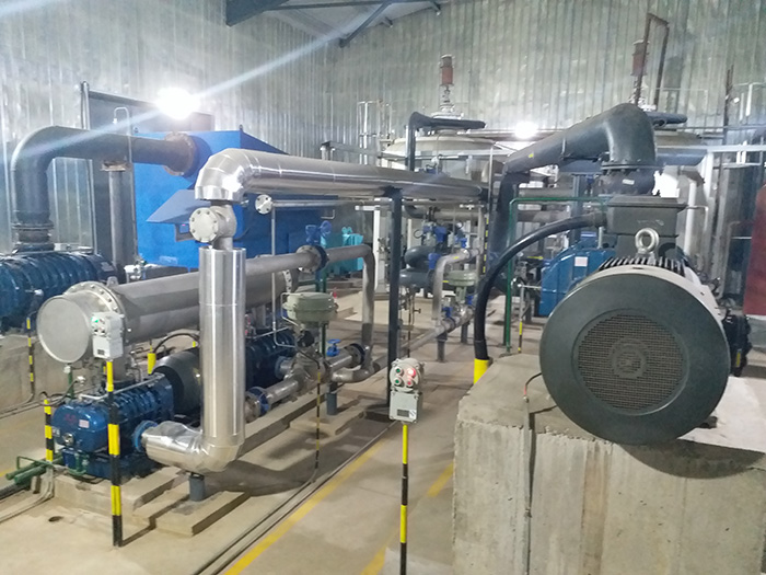 �ֳ���������