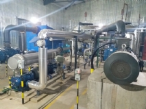 �ֳ���������